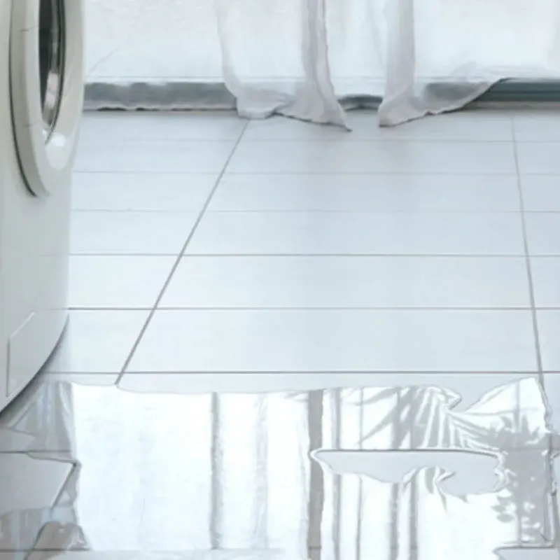 Appliance Leak Cleanup in Washington, GA